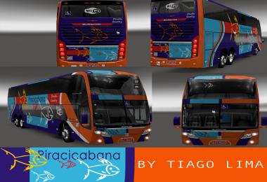 Busscar Viasul Skin