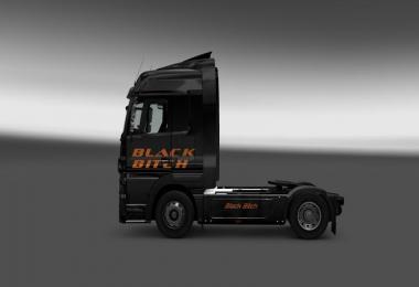 Black Bitch Skin MB Actros