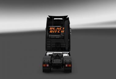 Black Bitch Skin MB Actros