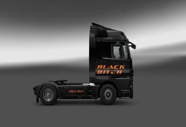 Black Bitch Skin MB Actros