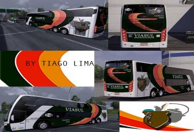 Busscar Viasul Skin