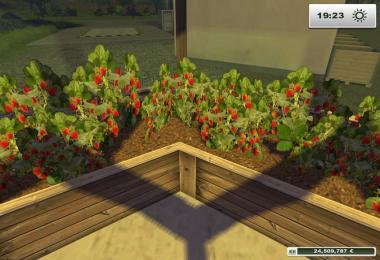 Extension Strawberry v1.0