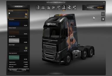 Skin Scania R & Volvo FH 2012