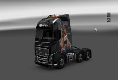 Skin Scania R & Volvo FH 2012