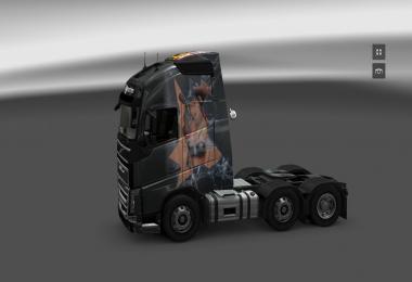 Skin Scania R & Volvo FH 2012