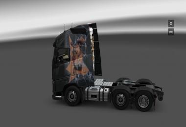 Skin Scania R & Volvo FH 2012