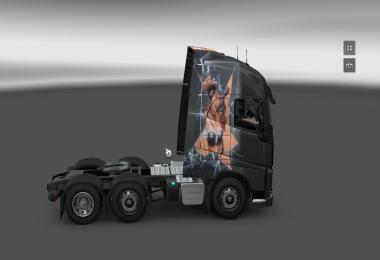 Skin Scania R & Volvo FH 2012