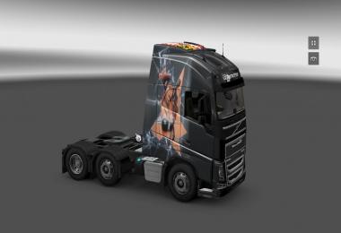 Skin Scania R & Volvo FH 2012