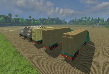 Tenias Platform Truck v1.0