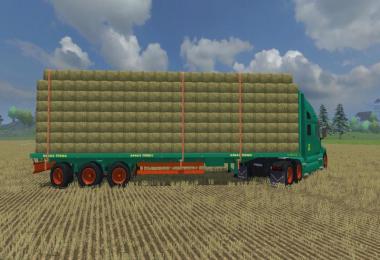 Tenias Platform Truck v1.0