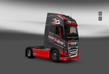 Volvo Grey Red Skin