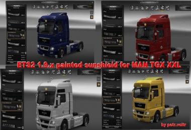 Painted Sunshield for MAN TGX