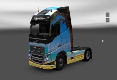 Volvo 2012 Nature Skin