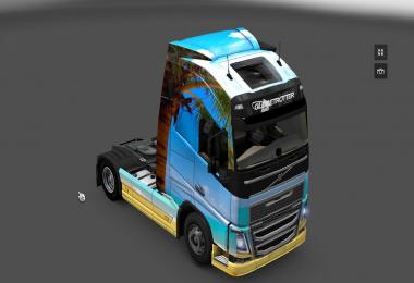 Volvo 2012 Nature Skin