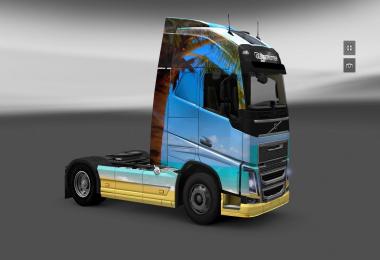 Volvo 2012 Nature Skin