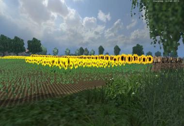 Bassumer country v6.0