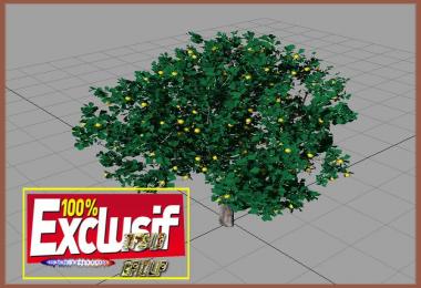 Citronnier (arbre) by XAV40 v1.0