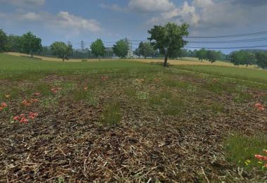 Forest Map v1.5 Forst ready