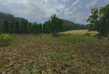 Forest Map v1.5 Forst ready