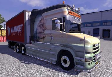 Mammoet Skin 1.9.22