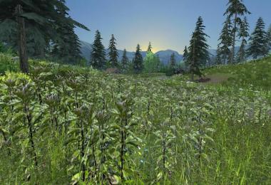 Mountain valley v1.0