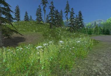 Mountain valley v1.1