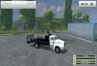 Peterbilt 384 Landscape Truck