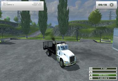 Peterbilt 384 Landscape Truck