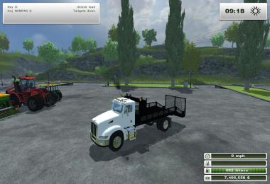 Peterbilt 384 Landscape Truck