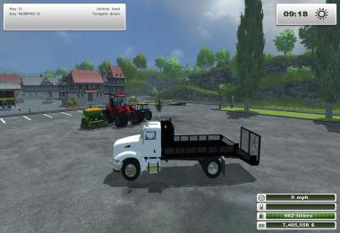 Peterbilt 384 Landscape Truck