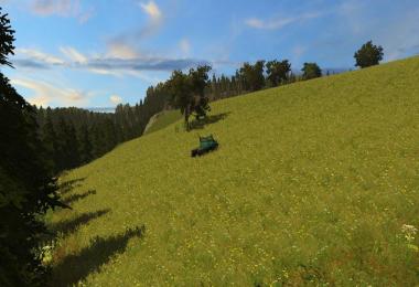 Alps Austria country v1.0 Forst