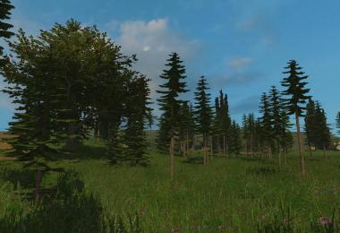 Old Hagenstedt with forestry v1.0