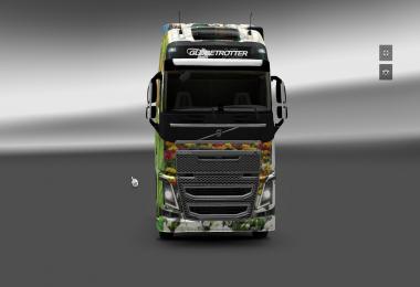 Volvo FH 2012 Peynet Skin