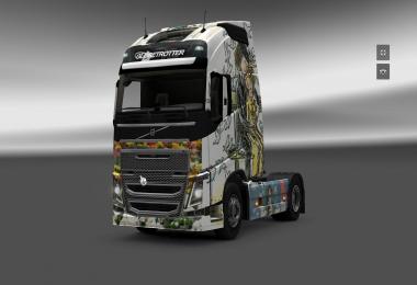 Volvo FH 2012 Peynet Skin