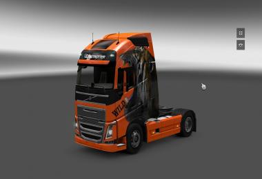 Volvo FH 2012 Wild Skin