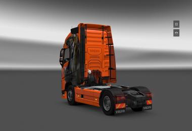 Volvo FH 2012 Wild Skin