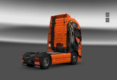 Volvo FH 2012 Wild Skin