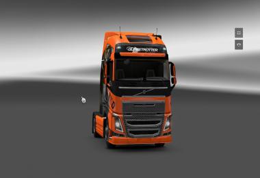 Volvo FH 2012 Wild Skin