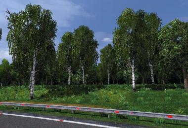 Birch fix for ETS 1.12.1s