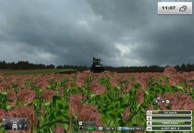 Green manure Mod v1.1b SoilManagement