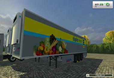 Schmitz SKO Cool Edeka H97 Multimap ready v1.0