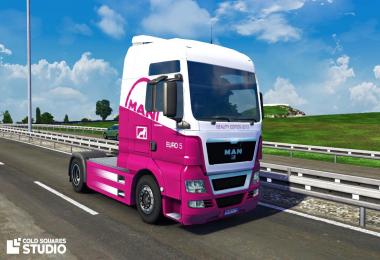 MAN TGX 2014 Euro 5 Beauty Edition