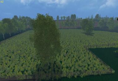 Forest of Dean MP v1.0