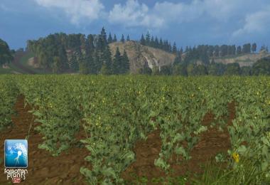 Forgotten Rape Plants v1.0