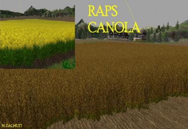 Nova texture wheat barley v1.0 mais