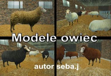 Sheep static v1.0