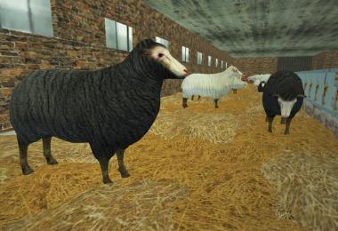 Sheep static v1.0