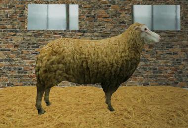 Sheep static v1.0