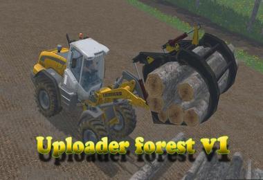 Uploader forest v1.0