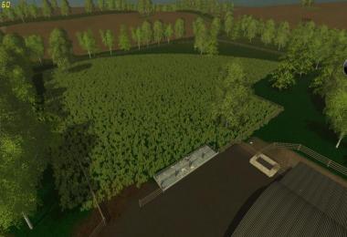 Forest of Dean MP v1.3